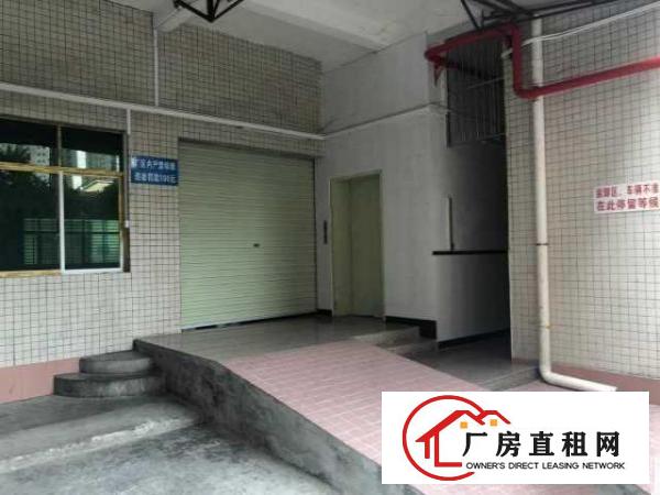 厂房，全新装修虎门金洲海运轩对面600平方厂房招租