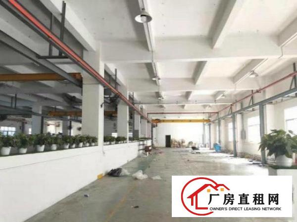  怀德工业区原房东标准一楼1500平方带行车厂房