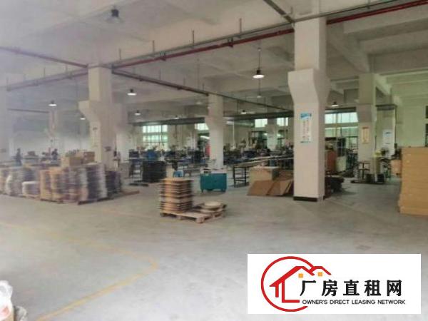  白沙标准厂房一楼700平方分租，带牛角现成装修