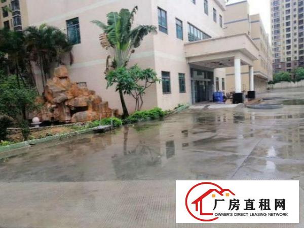  白沙标准厂房一楼700平方分租，带牛角现成装修
