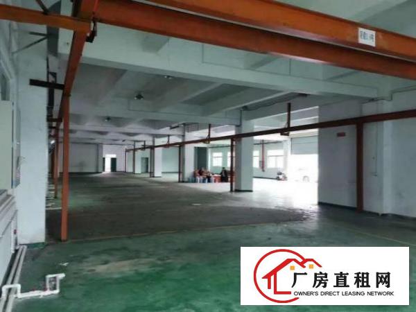  大宁工业区独院厂房1000平方！现成装修！现成行车展厅！