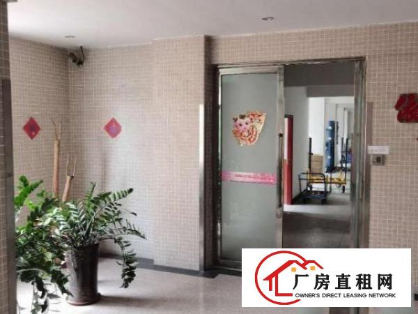  虎门龙眼408方精装独院双电梯无转让费