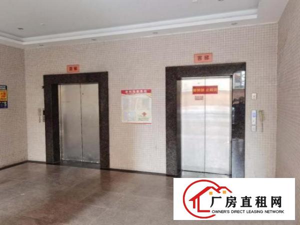  虎门龙眼408方精装独院双电梯无转让费