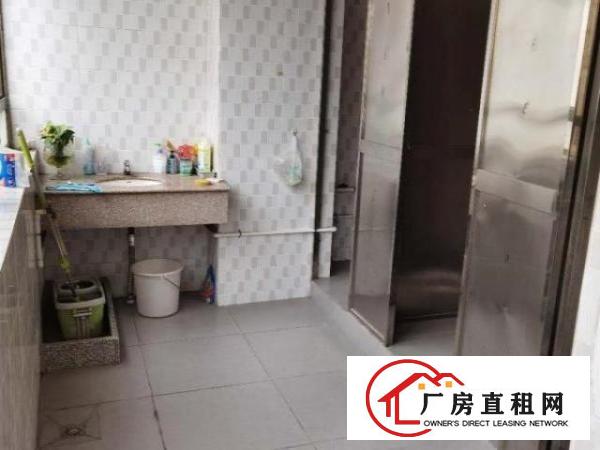 虎门龙眼408方精装独院双电梯无转让费