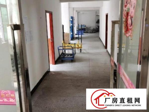  新空厂房无转让费欢迎来看