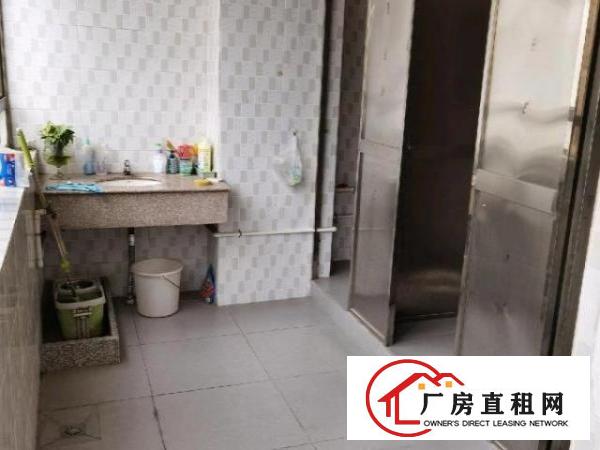  新空厂房无转让费欢迎来看