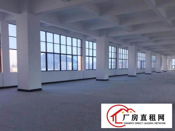  豪华装修厂房办公室，既租即用