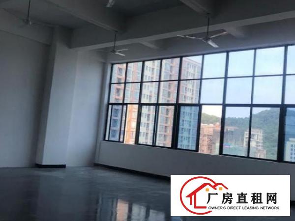  豪华装修厂房办公室，既租即用