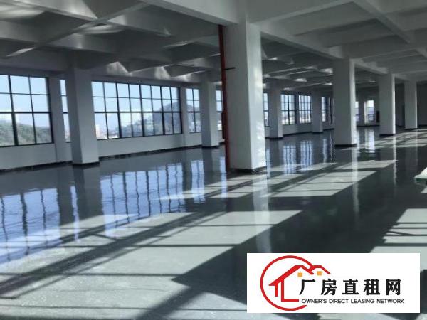  豪华装修厂房办公室，既租即用