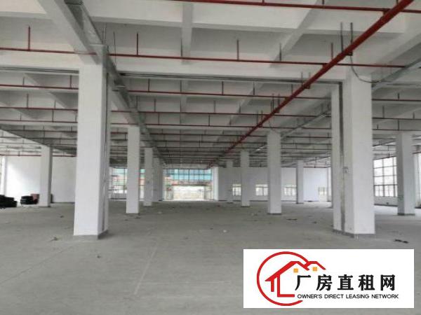  东方独栋标准厂房带红本可分租500包办环评