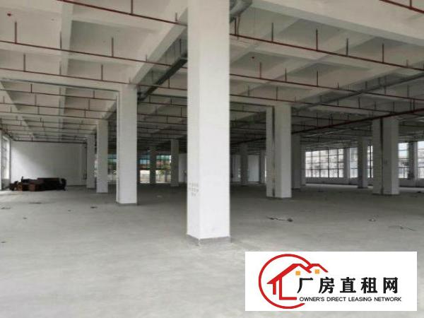  东方独栋标准厂房带红本可分租500包办环评