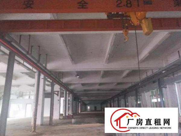  赤岗工业区800平方原房东独院标准厂房出租，证齐可办环评