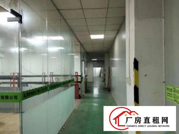  南栅新出楼上精装修650平方厂房出租