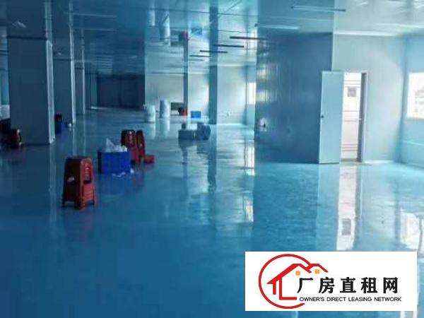  出租虎门镇北栅豪华装修原房东