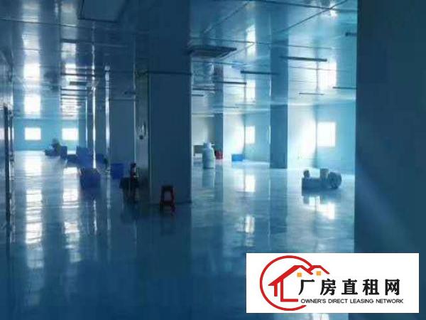  出租虎门镇北栅豪华装修原房东