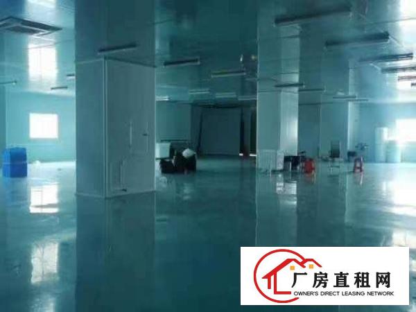  出租虎门镇北栅豪华装修原房东