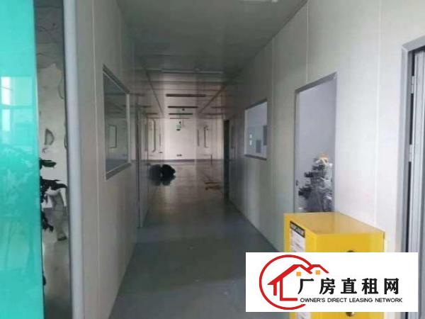  出租虎门镇北栅怀德精装修