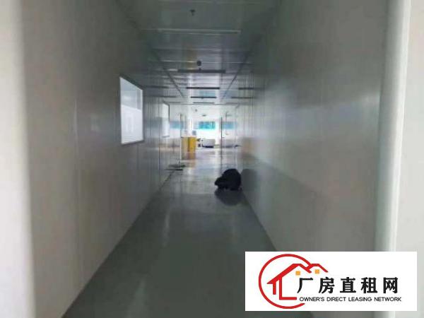  出租虎门镇北栅怀德精装修