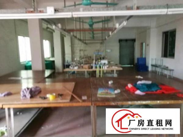  滨海新区虎门东风社区靠近金洲厂房330平米