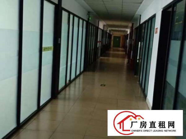  独门独院标准厂房环境优雅