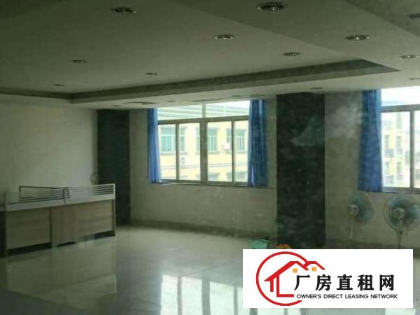  独门独院标准厂房环境优雅