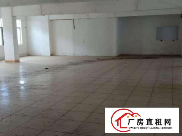  标准厂房环境优美宽阔