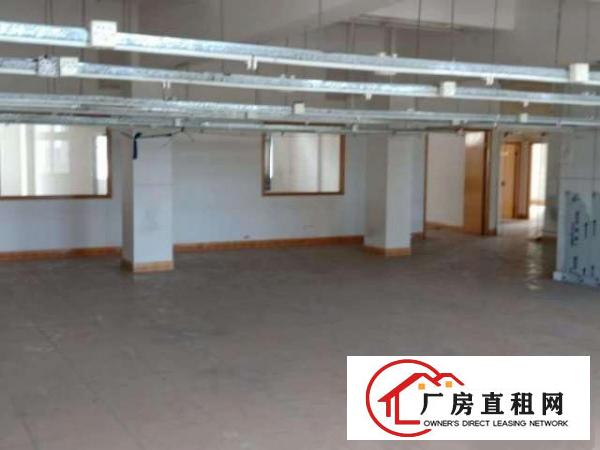  标准厂房环境优美宽阔