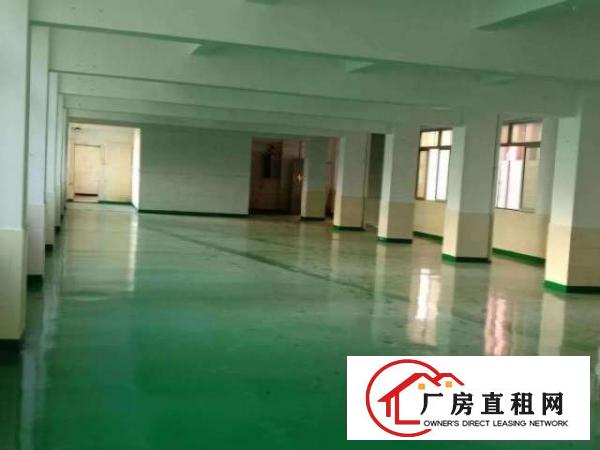  标准厂房环境优美宽阔