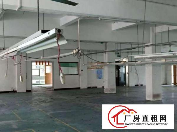  标准厂房环境优美宽阔