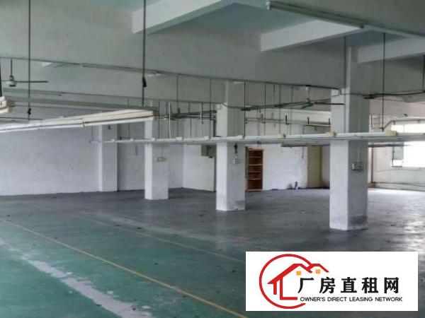  标准厂房环境优美宽阔