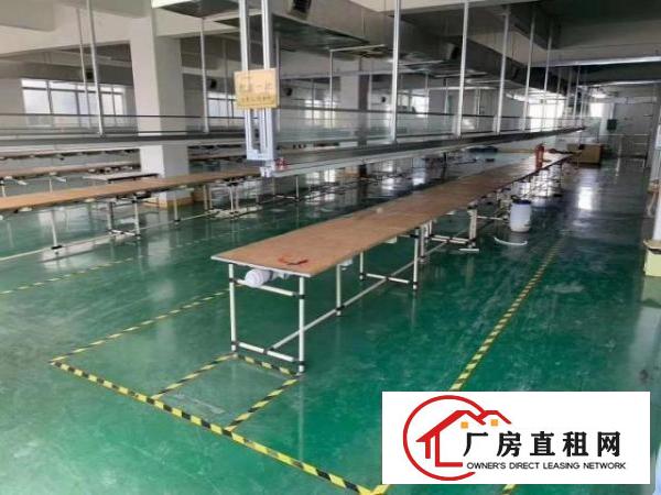  大宁村委厂房，带装修，无公滩