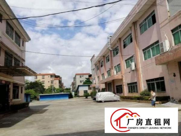  金洲工业区工业区分租原房东标准厂房二楼1300平方可办环坪