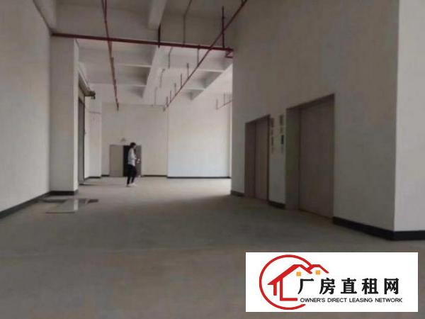 金洲工业区工业区分租原房东标准厂房二楼1300平方可办环坪