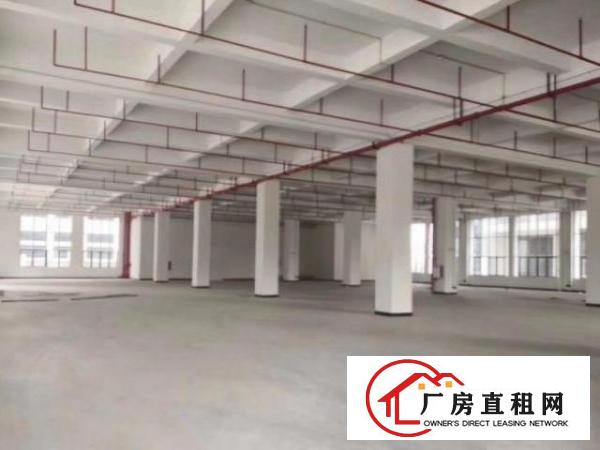 金洲工业区工业区分租原房东标准厂房二楼1300平方可办环坪