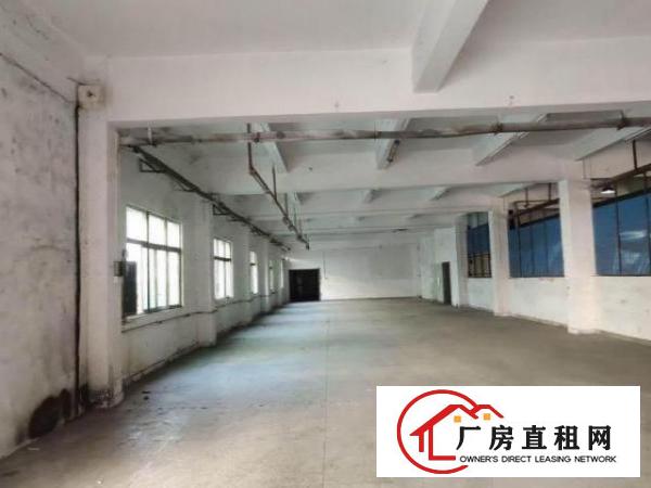 南栅工业区标准厂房一楼1470平方带装修出租电费便宜可开票