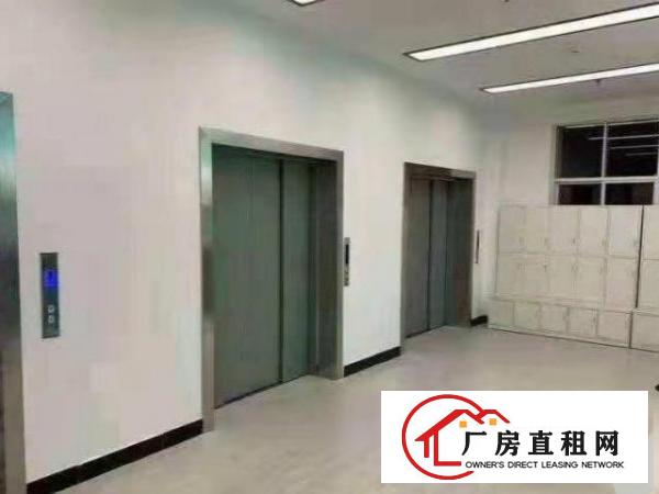  小捷滘工业区3万平方红本厂房500平方无尘车间转租可办环