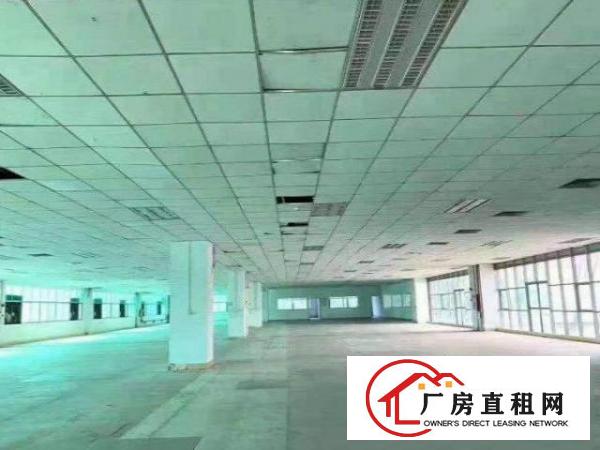  小捷滘工业区3万平方红本厂房500平方无尘车间转租可办环