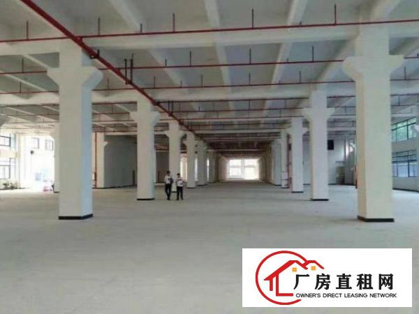  白沙独院厂房2800平米配宿舍食堂交通方便