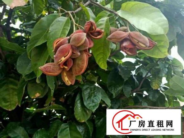  精美装修的驾校场地1万平方米火爆招租