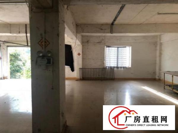  虎门威远厂房低价招租