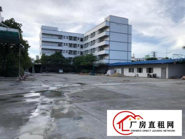 出租虎门镇捷东路连心路