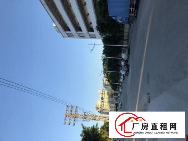  出租虎门镇捷东路连心路