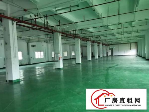 白沙业主分租一楼厂房1000方，带装修