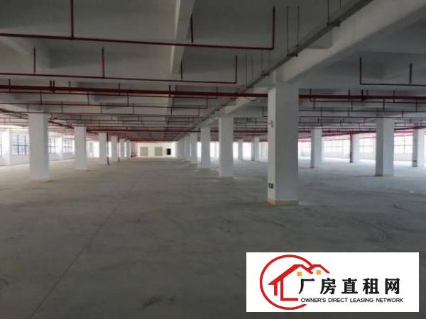  东方一楼900平仓库，带红本，原房东出租