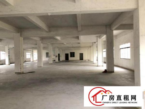  南栅原房东标准电梯厂房1100平方，配3吨电梯