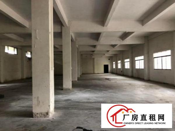  南栅原房东标准电梯厂房1100平方，配3吨电梯