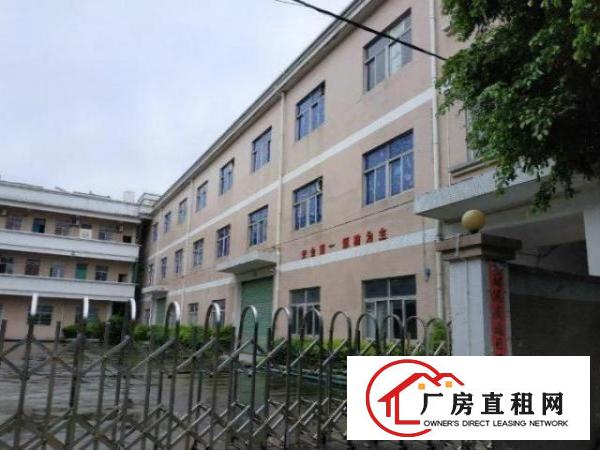  南栅工业区独院厂房出租1000空地大配宿舍工业用地