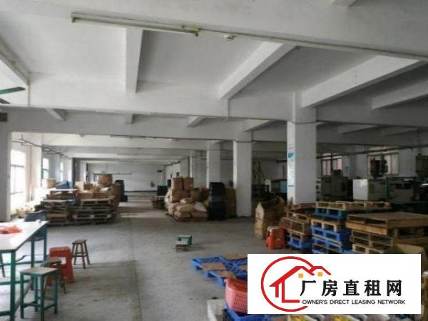  南栅工业区独院厂房出租1000空地大配宿舍工业用地