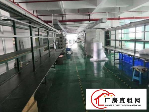  怀德工业区红本厂房，有喷淋，1000平方，合适电子行业！