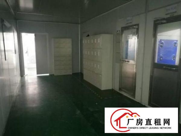  南栅工业区现成无尘车间1200平方，重工业厂房可放重型机器